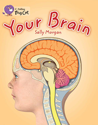 워크시트 이미지