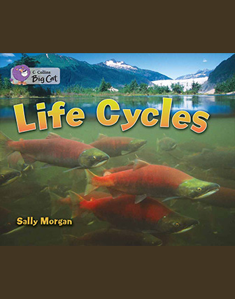 워크시트 이미지